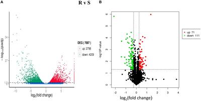 Transcriptome and Proteome Alternation With Resistance to Bacillus thuringiensis Cry1Ah Toxin in Ostrinia furnacalis